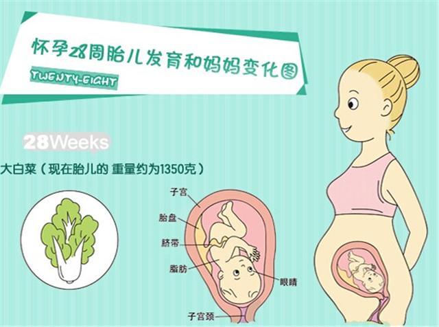 女人怎样做才有助于怀孕？女人这样做更好