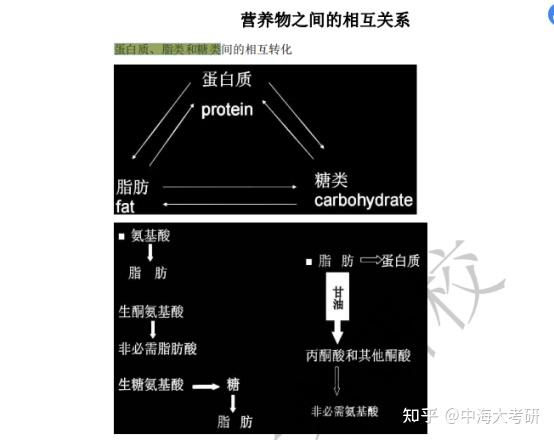 日常生活中的碱性食物有哪些呢？属于比阳性弱的一种