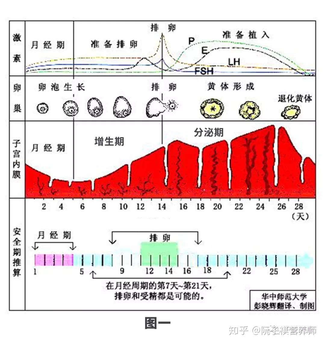 怀孕周期表可以先纪录以下产检时间？孕妈妈必看