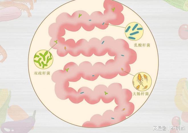 消化吸收不好和免疫力差的新国标奶粉推荐